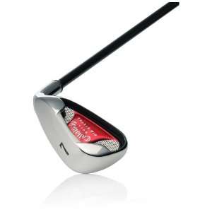  Callaway Big Bertha 08 Individual Iron (7 Iron) Sports 