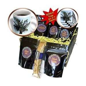 Florene Trees   Lovely Palm Tree   Coffee Gift Baskets   Coffee Gift 
