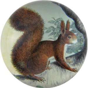  John Derian Crystal Paperweight Dome   Squirrel