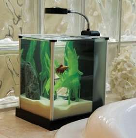 The Fluval Spec is the ideal two gallon glass desktop aquarium that 