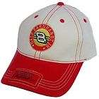 DALE EARNHARDT JR 8 BUDWEISER NASCAR HAT  