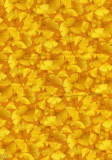 Kona Bay Asian Quilt Fabric Ginkgo Love Tonal Yellow  
