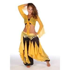   Costume Set  Harem Pants w/chiffon Flakes,Hip Scarf 