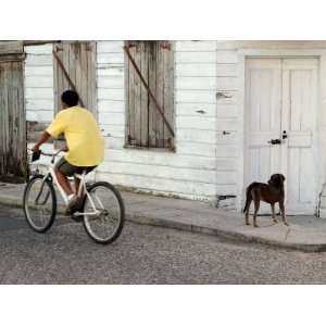  Boy Riding Bike in Front of House, with Stray Dog, Belize 