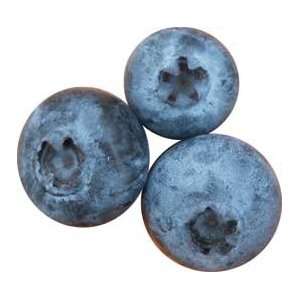 Wild Blueberry Muffin & Scone Mix Grocery & Gourmet Food