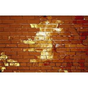  Bricks Through Time Wall Mural