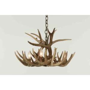  Whitetail Real Antler Chandelier   Sm