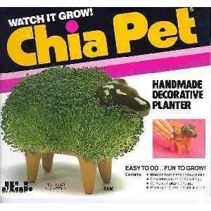  Chia Pet/Head Handmade Decorative Planter (Assorted Styles 