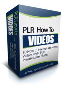 PLR How To Internet Marketing Tech Videos. Learn & Earn  