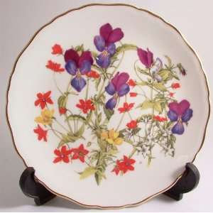  Royal Albert Grassland Pansies from Britains Wild Flowers Jo Hague 