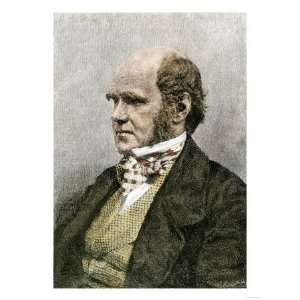 Young Charles Darwin, London Premium Poster Print, 12x16  