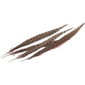  Ringneck Pheasant Feathers 4/Pkg, Natural Arts, Crafts 