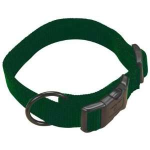 Hamilton Adjustable Dog Collar   Dark Green   Small (Quantity of 4)