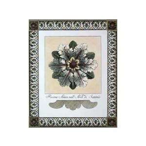  Toro Di Nerva Rosette Poster Print