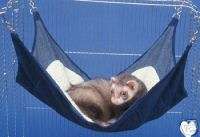 Deluxe Ferret Cage Hammock with Sherpa   Blue  