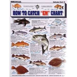  Tight Lines Saltwater Fish Chart #2