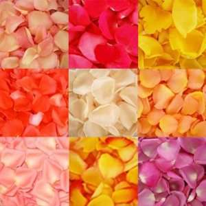  500 FRESH Rose Petals Asorted Colors Patio, Lawn & Garden