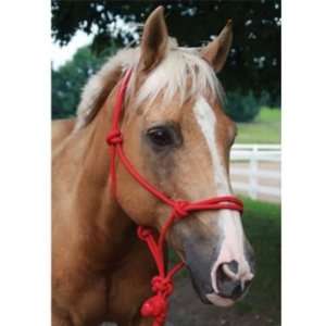  Basic Poly Rope Halter w/Lead Red