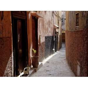  Medina, Marrakesh, Morocco, North Africa, Africa Stretched 