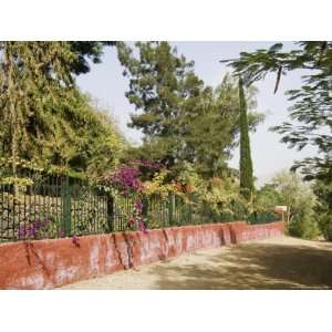 The National Botanical Garden at Sao Jorge Dos Orgaos, Santiago, Cape 