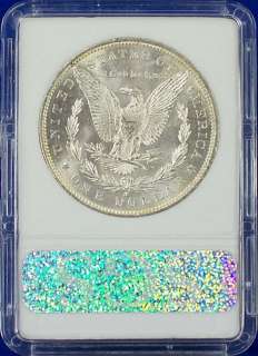   slabbed morgan silver dollar judge the coin for yourself you will