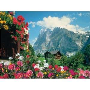    Switzerland Bernese Alps Jigsaw Puzzle 1500pc Toys & Games