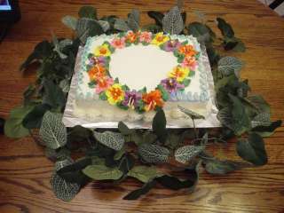 CAKEGENIE & 2 Cake Decorating DVDs FLOWERS & BASICS, 2  