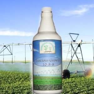   )  Liquid NPK Fertilizer, Promotes Early Growth Patio, Lawn & Garden