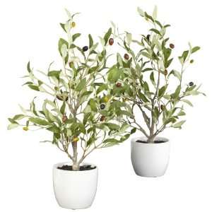   Olive Silk Tree w/Vase (Set of 2) Green Colors   Silk Plant Home