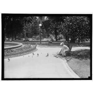   OF COLUMBIA PARKS. FEEDING PIGEONS IN THE PARKS 1917