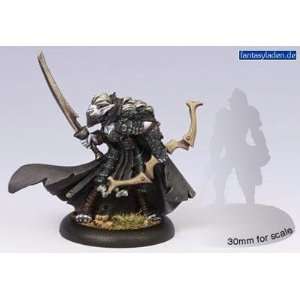   Hordes Minature Combat Game by Privateer Press Toys & Games