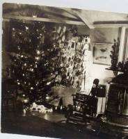   TREE Photo White CAT Pot Belly STOVE Postcard ?*NR NICE Detail  