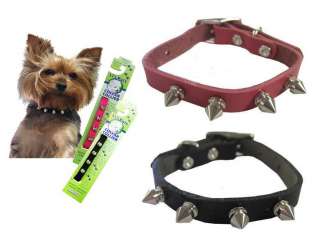 TINY SPIKED LEATHER COLLAR Dog Puppy Teacup 6 8 Lil Pals Spike Yorkie 