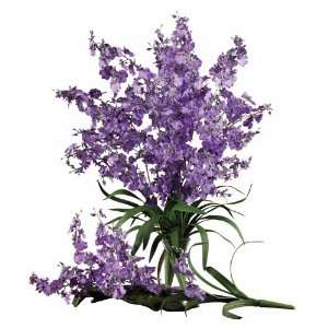   Purple Dancing Lady Silk Orchid Flowers   (12 Stems)