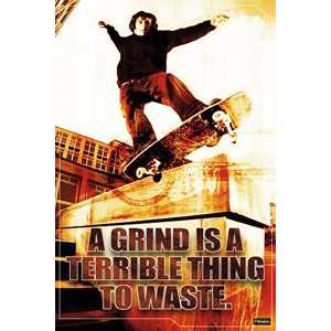   Terrible Thing to Waste Skateboarding Poster Print