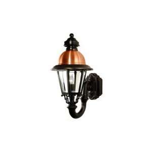   Light Outdoor Wall Light in Verde Copper with Clear Bent Beveled Glass